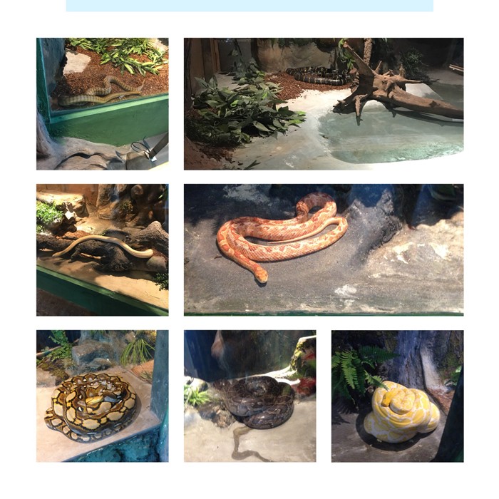 高端拉床,專用機床,內拉床,外拉床,數(shù)控機床,自動化生產(chǎn)線,工業(yè)機器人 高端拉床,專用機床,內拉床,外拉床,數(shù)控機床,自動化生產(chǎn)線,工業(yè)機器人