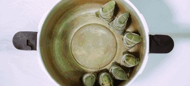 1536811172222417.gif 浙江暢爾智能裝備股份有限公司