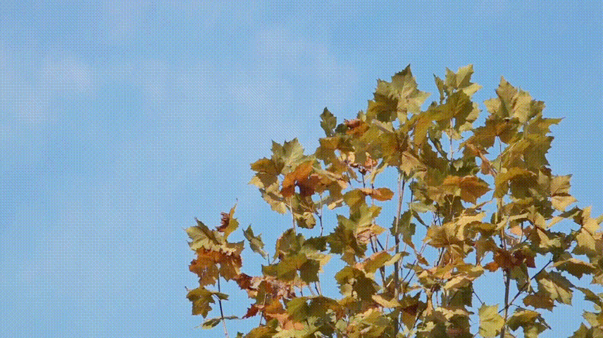 拉床,拉刀,自動(dòng)化,高端拉床,專用機(jī)床,內(nèi)拉床,外拉床,數(shù)控機(jī)床,自動(dòng)化生產(chǎn)線,工業(yè)機(jī)器人