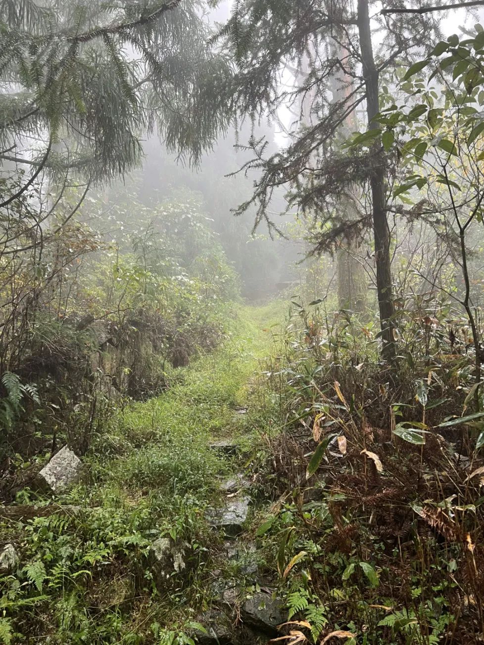 1729649047117657.jpg 1729649047117657.jpg