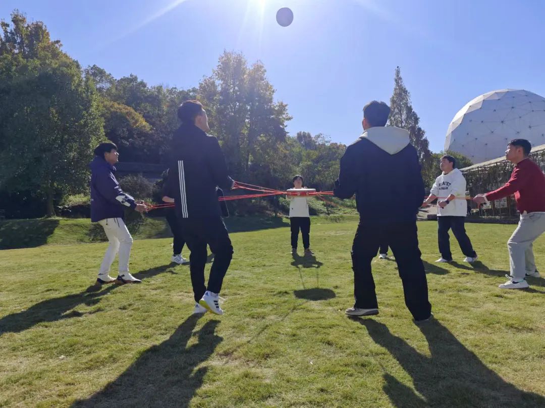 1733359932819066.jpg 1733359932819066.jpg