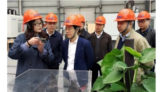 浙江省政協副秘書長帥燮瑯一行調研暢爾