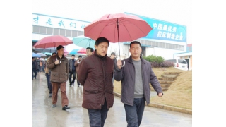 省科技廳廳長蔣泰維一行蒞臨我公司視察指導