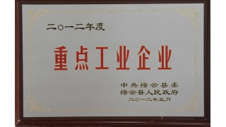 2012年度縣重點工業(yè)企業(yè)