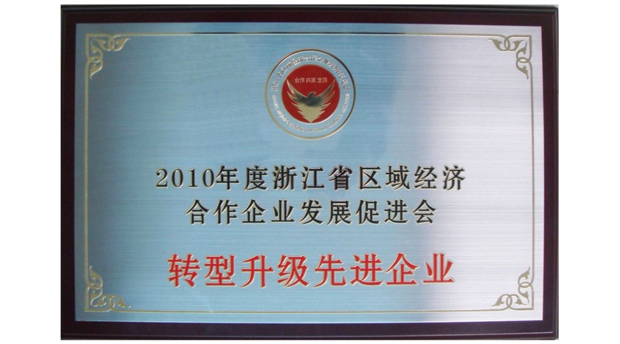 浙江省轉(zhuǎn)型升級(jí)先進(jìn)企業(yè)獎(jiǎng)牌